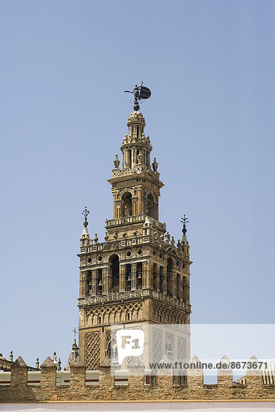 La Giralda  Kathedrale von Sevilla  Plaza Patio de Banderas  Alcazar von Sevilla  Barrio de Santa Cruz  Sevilla  Andalusien  Spanien