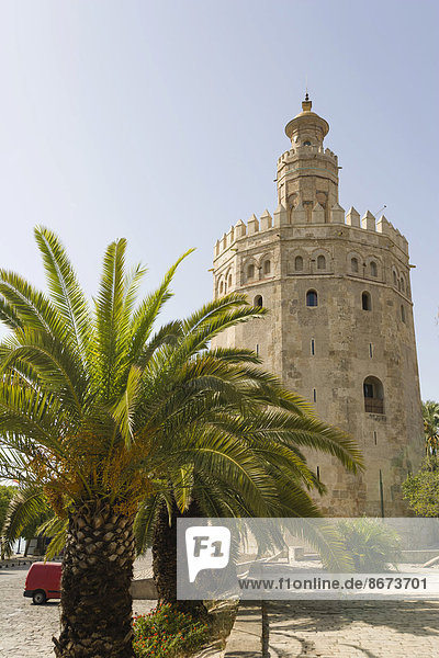 Torre del Oro  zwölfeckiger Militärwachturm  Sevilla  Andalusien  Spanien
