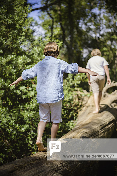 Two boys camping in the New Forest. Walking along a log above the water  balancing with their arms outstretched.