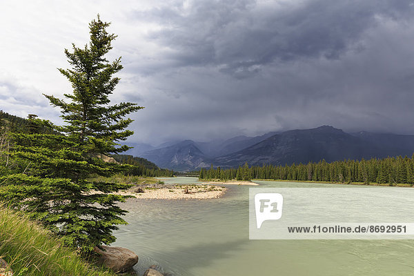 Canada  Alberta  Jasper National Park  Athabasca River in front of Rocky Mountains