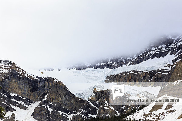 Kanada  Alberta  Rocky Mountains  Canadian Rockies  Banff National Park  Crowfoot Glacier und Crowfoot Mountain