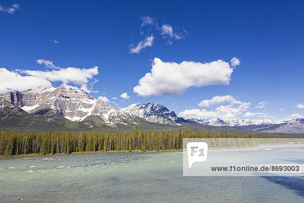 Canada  Alberta  Jasper National Park  Banff National Park  Icefields Parkway  Athabasca River
