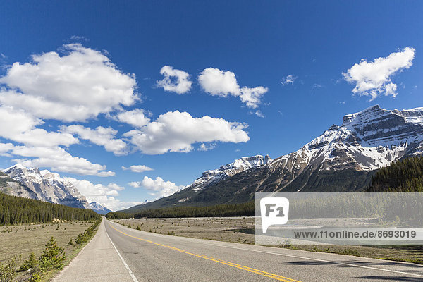 Canada  Alberta  Jasper National Park  Banff National Park  Icefields Parkway