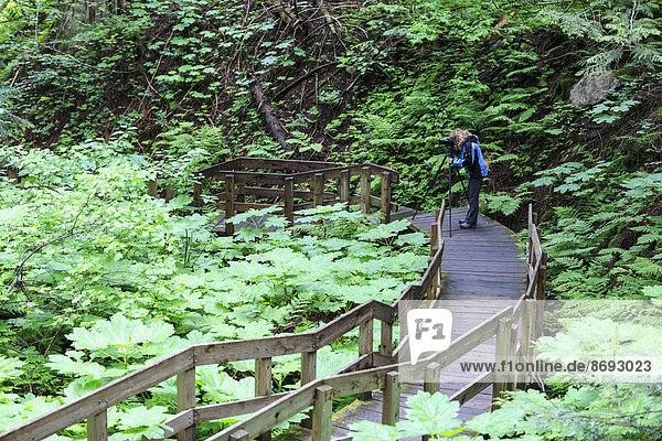 Kanada,  British Columbia,  Mount Revelstoke Nationalpark,  Fotografin am Giant Cedars Boardwalk Trail