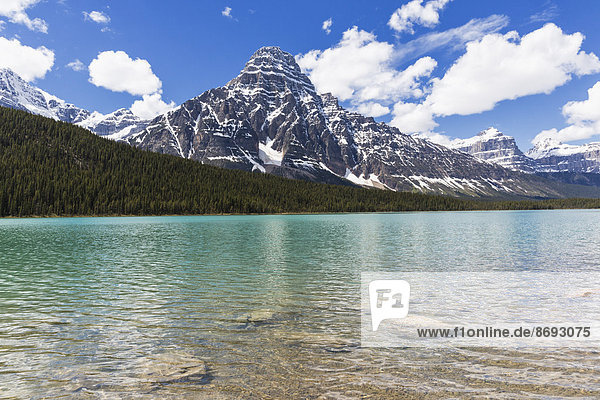 Kanada  Alberta  Banff National Park  Jasper National Park  Wasservögel Seen und Mount Chephren