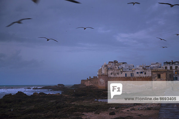 Marokko Essaouira Blick auf die Festung bei Dämmerung