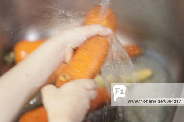 Karotten werden gewaschen.