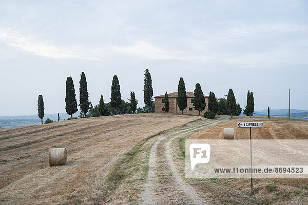 Italien  Toskana  Haus mit Zypressenreihe vorne