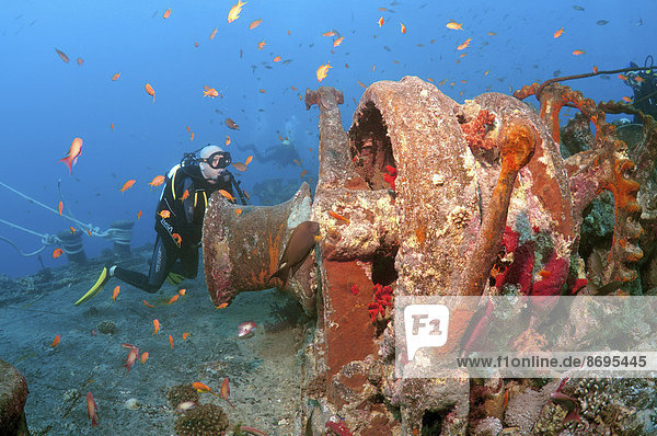 'Scuba diver looking at winch of shipwreck ''SS Thistlegorm''  Red Sea  Egypt'