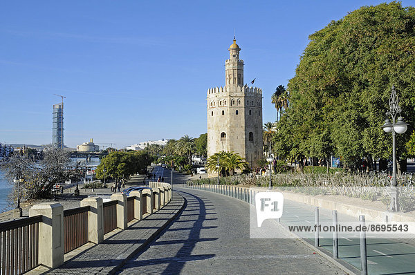 Torre del Oro  Goldturm  Schifffahrtsmuseum  Uferpromenade  Sevilla  Andalusien  Spanien