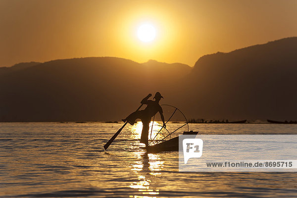 Fisherman in the evening light  leg rower with a traditional basket on the canoe  sunset at Inle Lake  Shan State  Myanmar