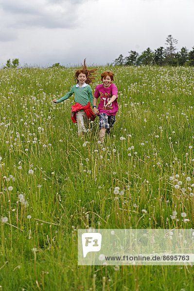 Zwei Kinder laufen über Löwenzahnwiese  Nationalpark Bayerischer Wald  Niederbayern  Bayern  Deutschland