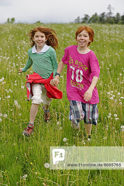 Two children running on a meadow with blowballs  Bavarian Forest National Park  Lower Bavaria  Bavaria  Germany