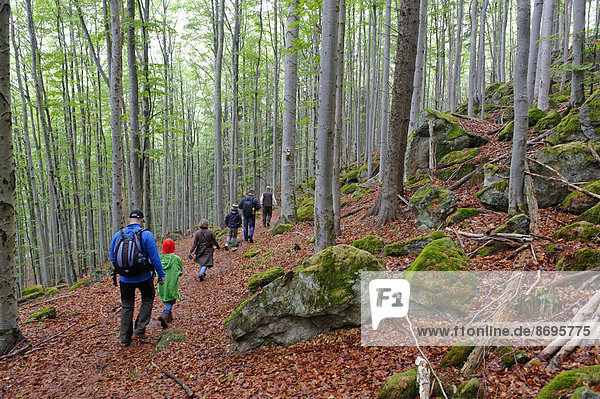 Hikers  Knottenhänge hills  Bavarian Forest National Park  near Waldhäuser  Lower Bavaria  Bavaria  Germany