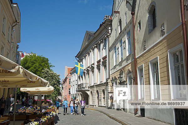 Row of houses  Pikk  historic centre  Tallinn  Estonia  Baltic States