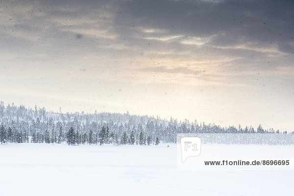 Snowy landscape near Inari Finland