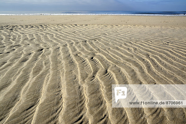 Sand ripple patterns on the beach  near Hvide Sande  Jutland  Denmark