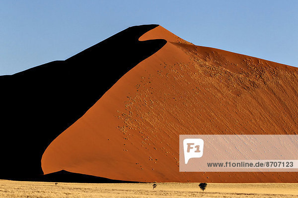 Rote Düne  schwarzer Schatten  Namib Naukluft Nationalpark  Namibia