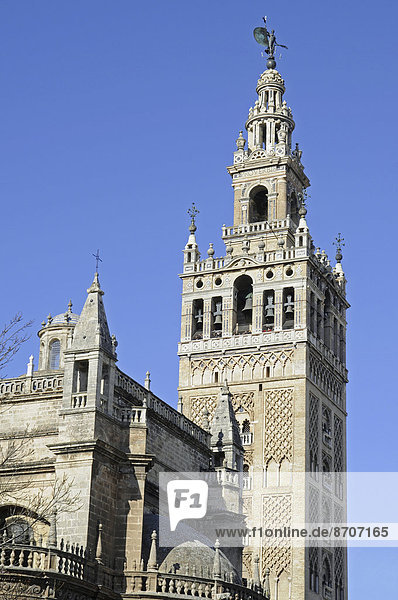 La Giralda  Glockenturm  Kathedrale von Sevilla  Catedral de Santa Maria de la Sede  Sevilla  Andalusien  Spanien