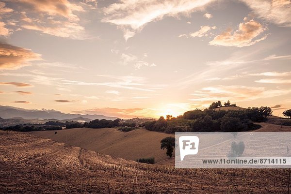 Geerntete Felder bei Sonnenuntergang  La Marche  Italien