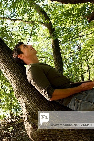 Mature man reclining on tree trunk in forest