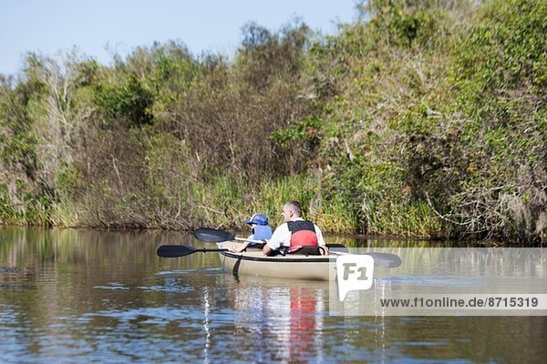 Father and son watching from boat  Everglades  Florida  USA