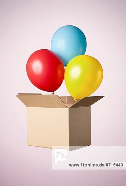 Studioaufnahme eines Kartons mit herauskommenden Luftballons