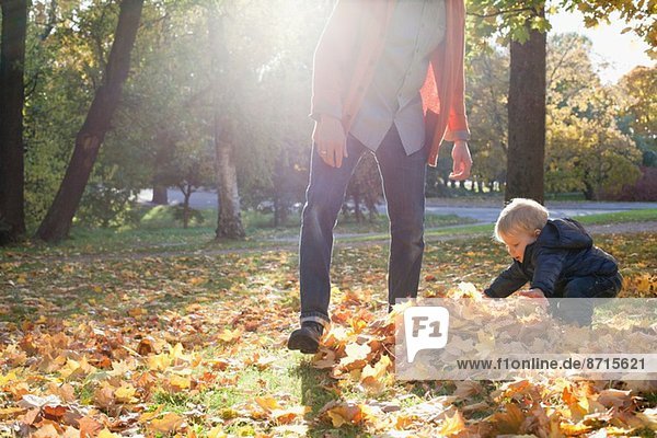 Vater und Sohn spielen mit Herbstblättern