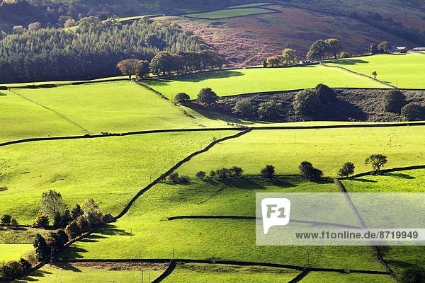 Steinmauer Europa Großbritannien trocken Feld Yorkshire and the Humber England North Yorkshire