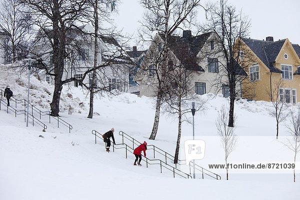Stufe  Frau  Fotografie  nehmen  hängen  Schnee  Norwegen  rutschen  jung  Geländer  Treppengeländer  Verteidigung  Freund  Tromso