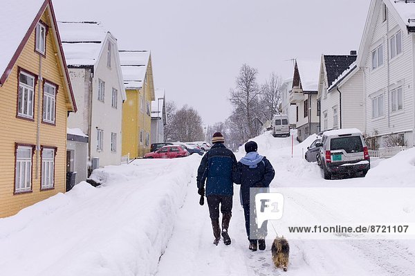 Street scene of couple walking their dog in Tromsoya  Tromso  Arctic Circle in Northern Norway
