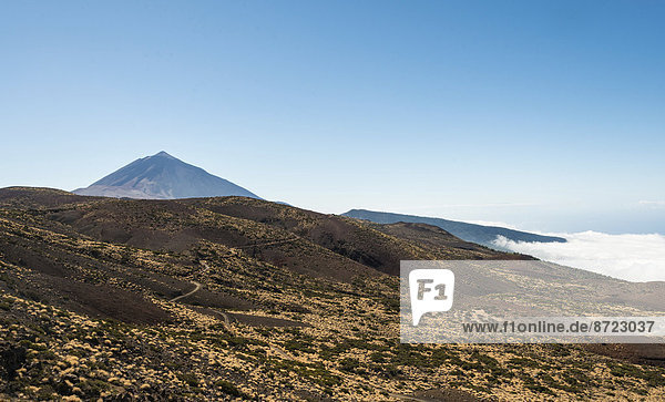Straße durch Vulkanlandschaft mit Pico del Teide  3718m  Parque Nacional de las Cañadas del Teide  Teide-Nationalpark  UNESCO Weltnaturerbe  Teneriffa  Kanarische Inseln  Spanien