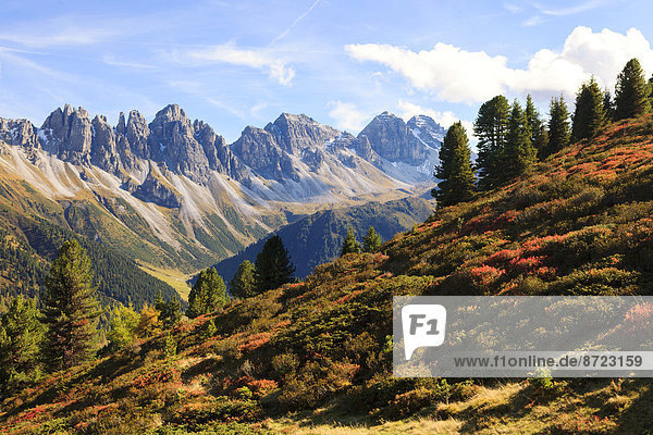 Herbst in den Stubaier Alpen  Tirol  Österreich