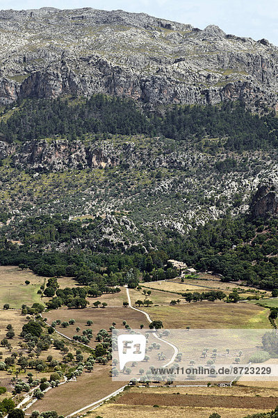 Landschaft im Tramuntana-Gebirge  Mallorca  Balearen  Spanien