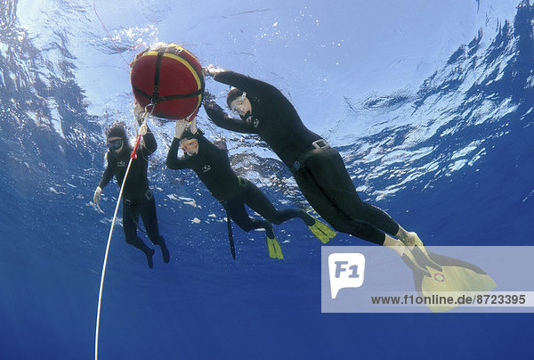 Freedivers  Aegean Sea  Symi  Greece