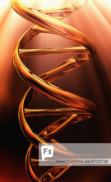 Glänzende goldene DNA-Doppelhelix