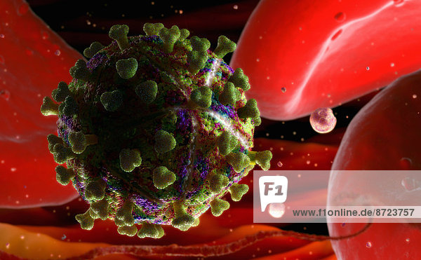 Nahaufnahme des HIV-Virus in einem Blutkreislauf