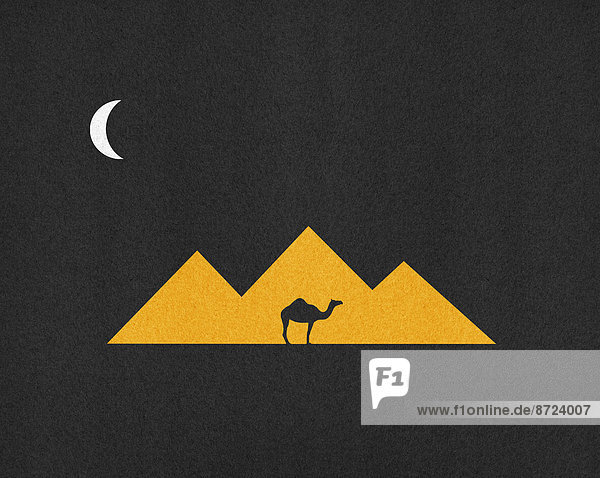 Silhouette eines Kamels vor Pyramiden bei Nacht
