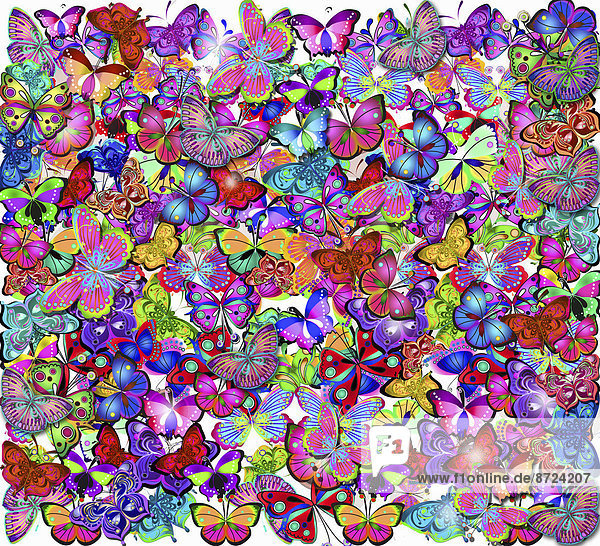 Aufwendiges buntes Schmetterlingsmuster