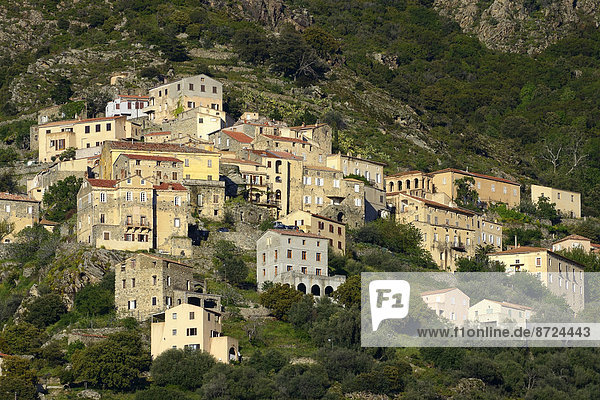 Frankreich Berg Tal Dorf Lama Lama buanicoe glama Korsika