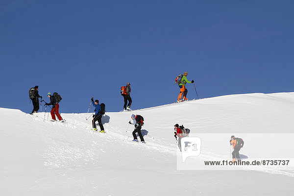 Ski touring group in the ascent to the Piz Arina  Graubünden  Switzerland