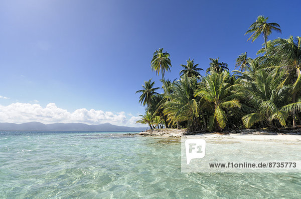 Tropische Insel  Strand mit Palmen  Cayos Los Grullos  San-Blas-Inseln  Panama