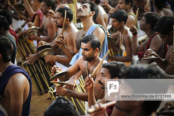 Musicians at Hindu temple festival  Thrissur  Kerala  South India  India