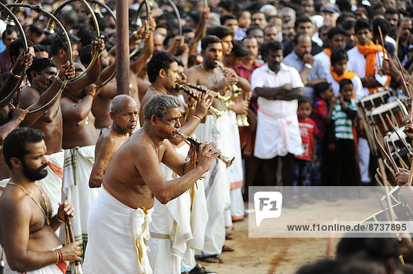 Musikanten mit Trompeten bei hinduistischem Tempelfest  Thrissur  Kerala  Südindien  Indien