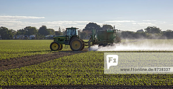 A tractor driver sprays pesticide on a crop  Florida City  Florida  United States