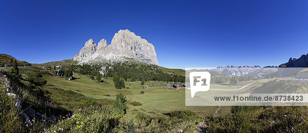 Almwiese  Langkofelgruppe  links Grohmannspitze  Mitte Fünffingerspitze  rechts Langkofel  Sellajoch  Dolomiten  Südtirol  Italien