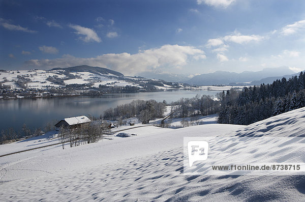 Österreich Salzkammergut Winterlandschaft