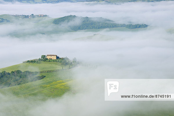 nahe , Morgen , Landschaft , Bauernhof,  Hof,  Höfe , Nebel , Toskana , typisch , Italien , Pienza
