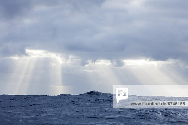 Wolke  Beleuchtung  Licht  Sturm  Ozean  Sonnenlicht  glänzen  Atlantischer Ozean  Atlantik  Sonne