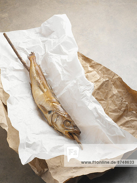 Hecht  Esox lucius  Studioaufnahme  Fisch  Pisces  Makrele  fettgebraten  Hecht  Holzstock  Stock